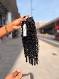 Burmese spring curls ends