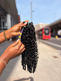 Burmese spring curls ends