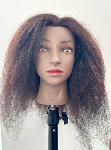 Professional Training Mannequin Head