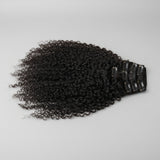 burmese clip in